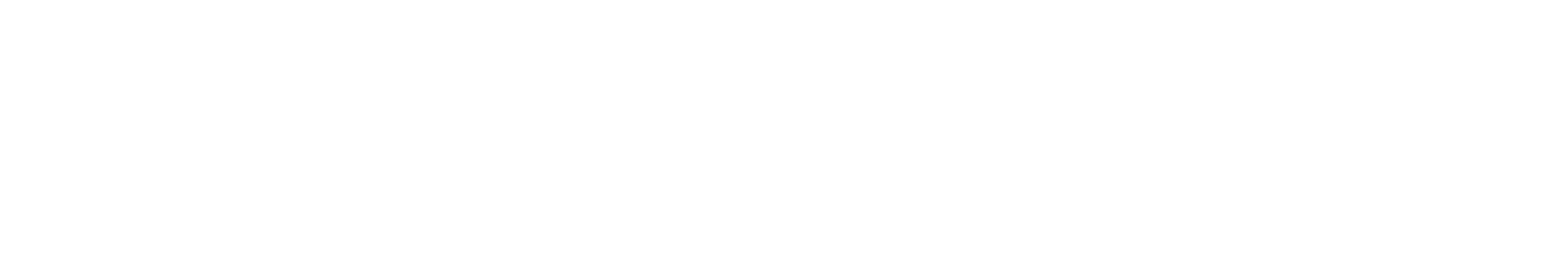 Sứ Mệnh 2029